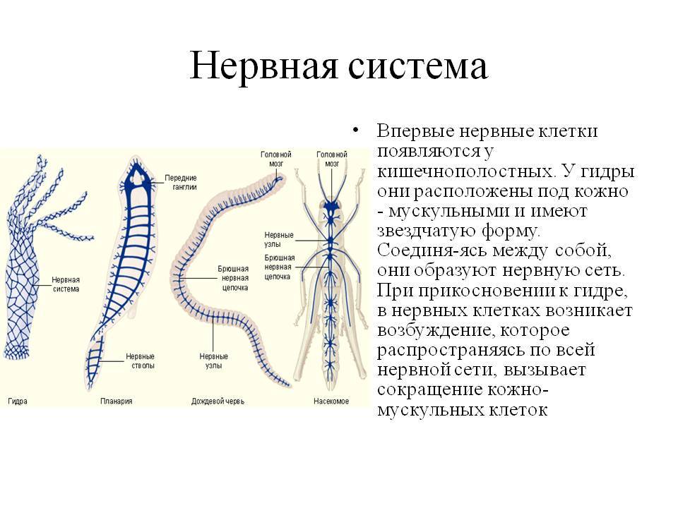 Кракен пользователь не найден