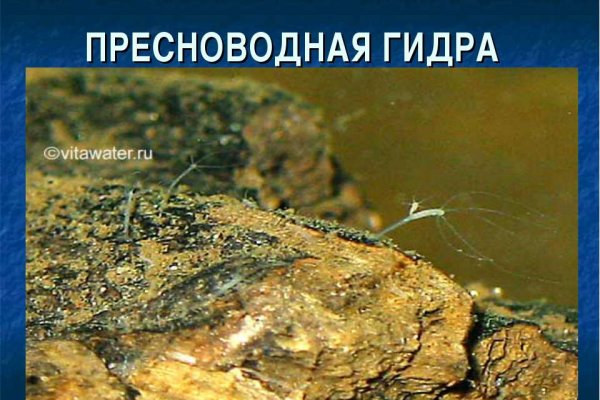 Кракен сайт тор ссылка